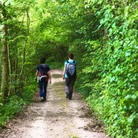Pôle d'Équilibre Territorial et Rural